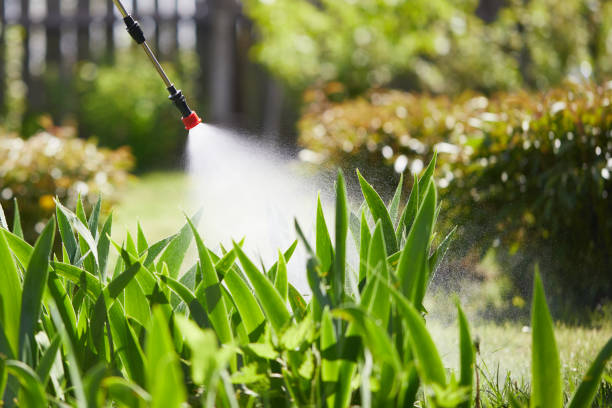 Tamper-Resistant Bait Stations for Rodents in Vine Hill