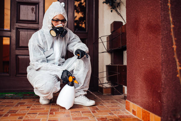 Attic and Crawl Space Rodent Treatment in Vine Hill